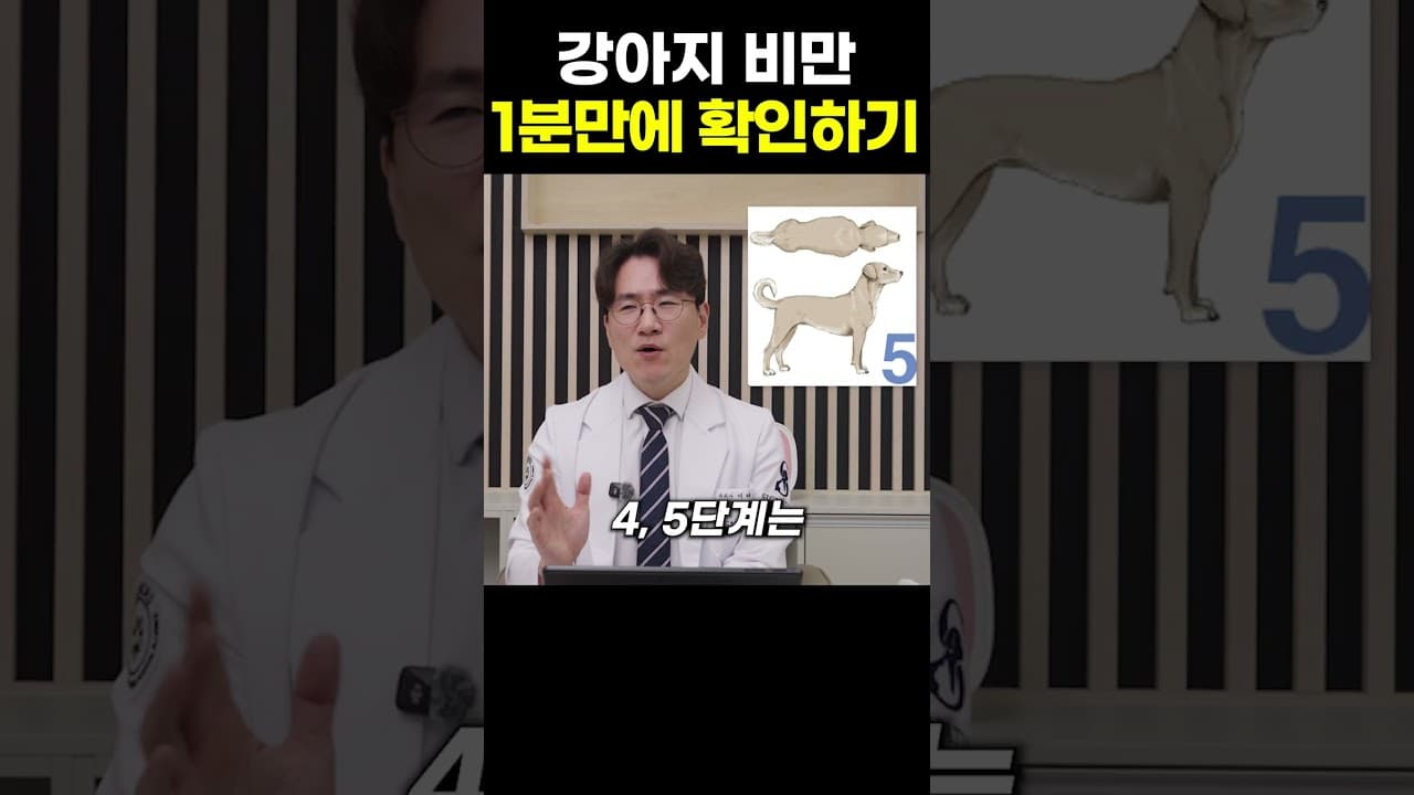 사료 줄여도 살찌는 반려견, 노화 아닌 질환일 수 있다