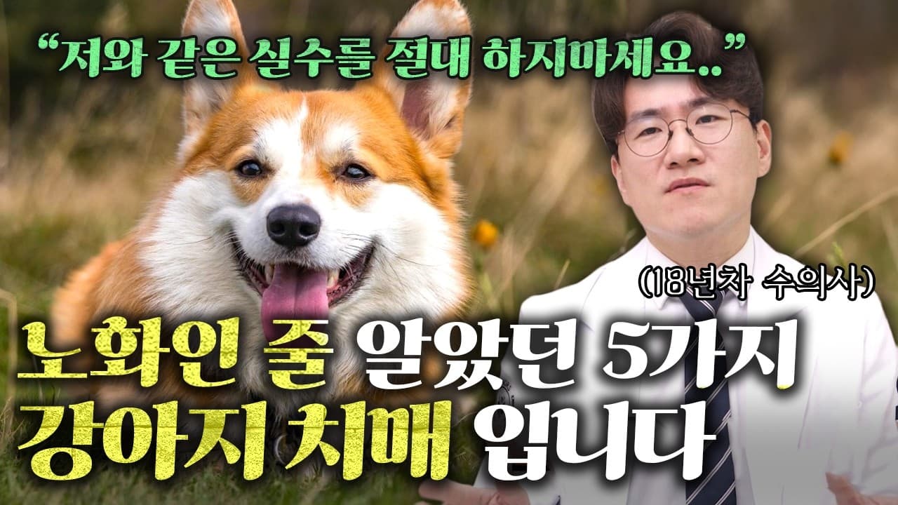 구석에 갇혀 못 나오는 15살 반려견, 노화가 아니다