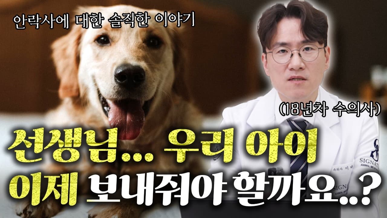 밥 못 먹고 앓는 반려견, 안락사 결정 전 확인해야 할 7가지. 중증 질환을 앓는 반려견을 둔 보호자는 하루하루가 불안하다.