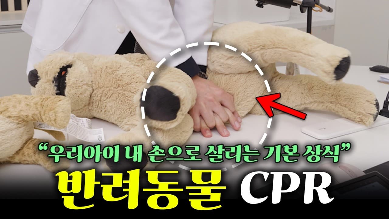 자두씨 삼킨 강아지, 멀쩡해 보여도 당장 응급실 가야 한다