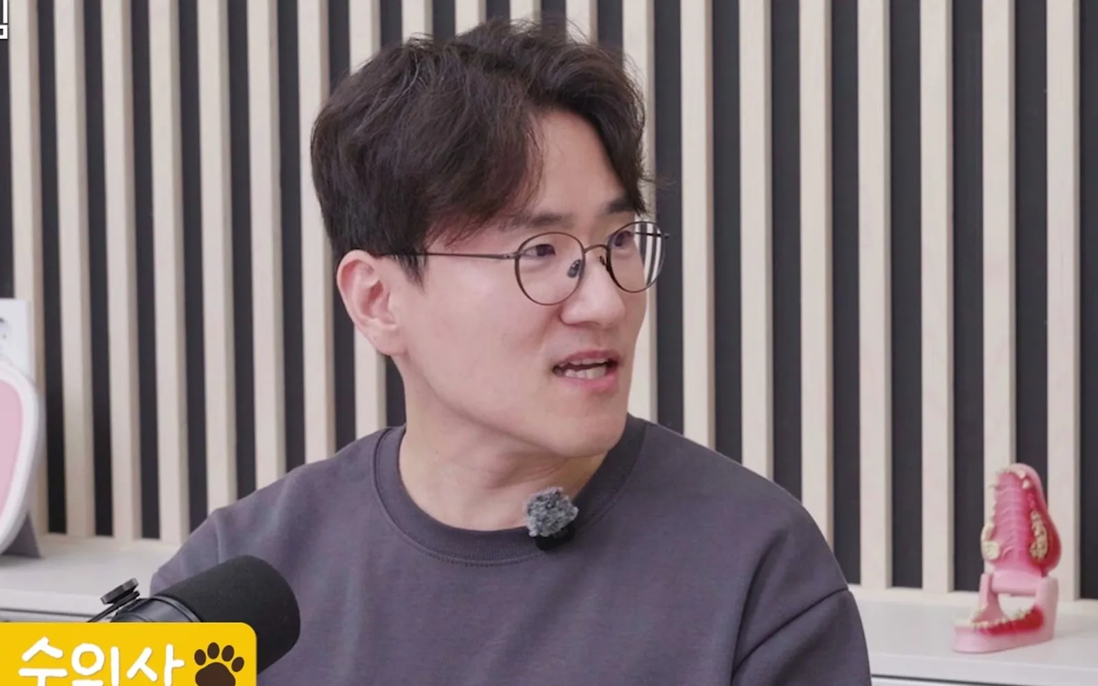 강아지 암 방사선 치료, 사람처럼 매번 마취할까?