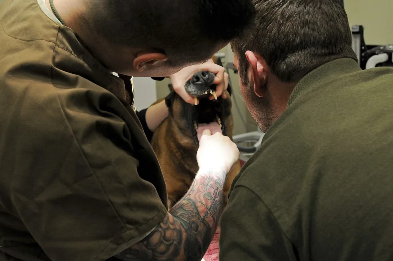 Dental exam 130211-A-UK001-037