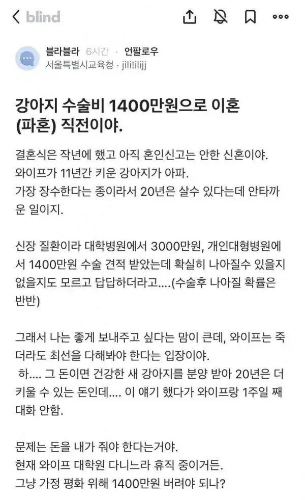 강아지 수술비 1400만원 때문에 이혼 위기