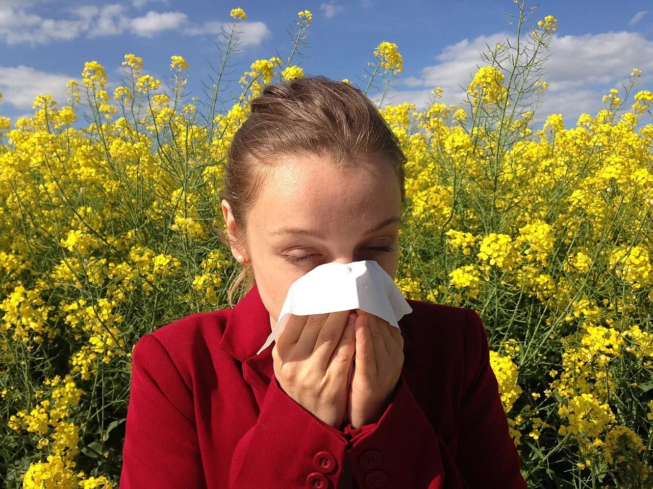 Allergy-1738191 1280