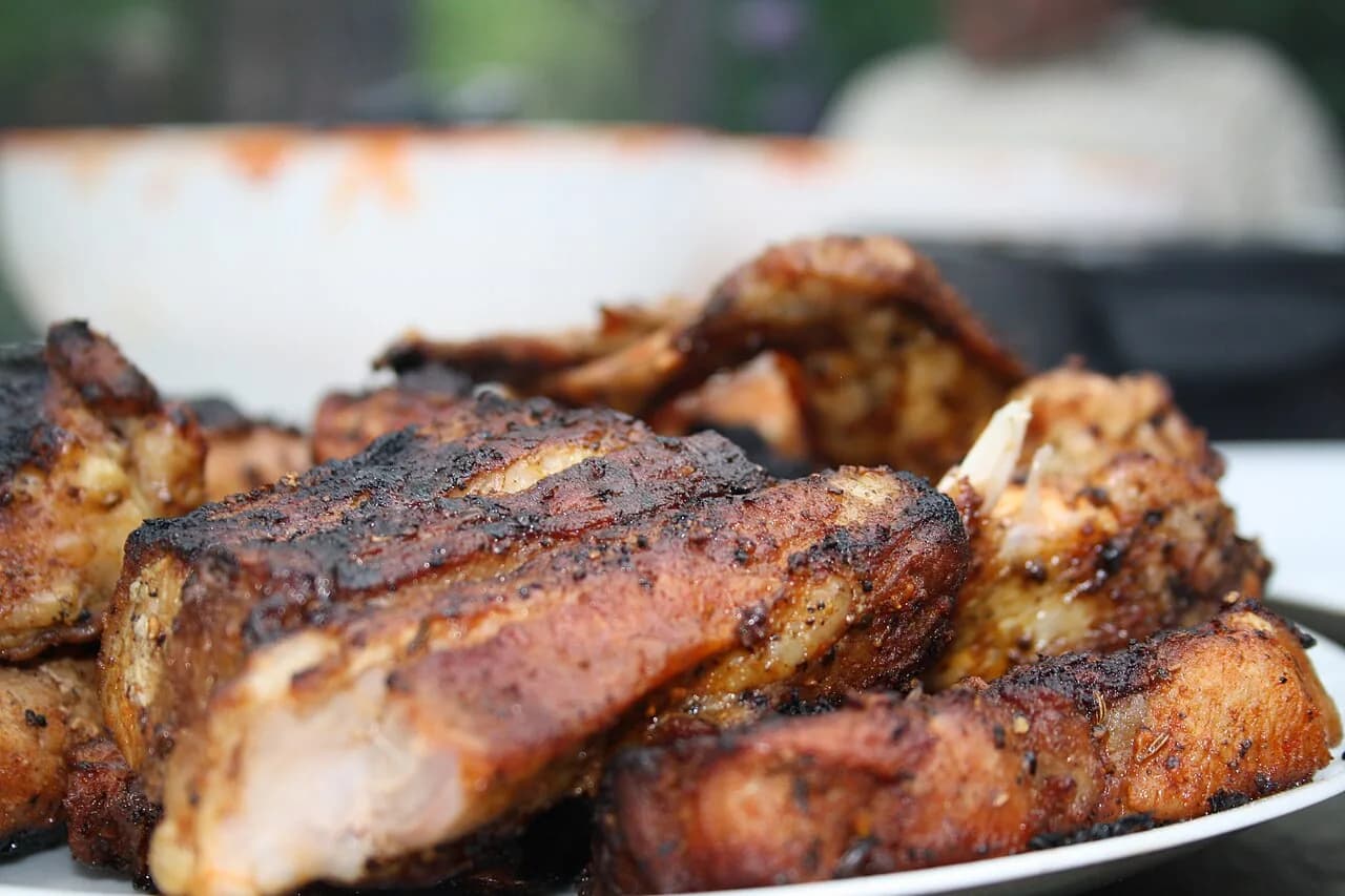 Grilled meat (steaks) near Hostákov, Vladislav, Třebíč District