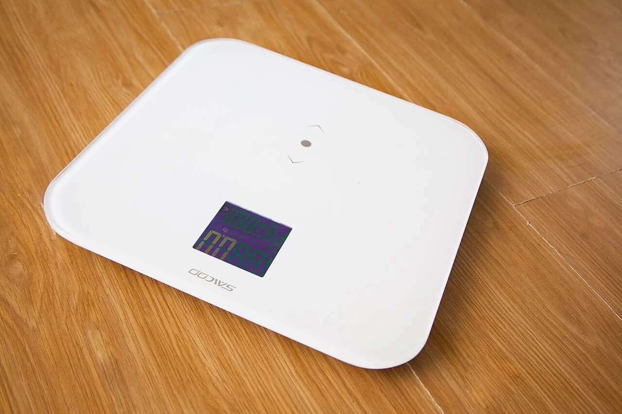 Fitness digital scale weight loss (33837094584)