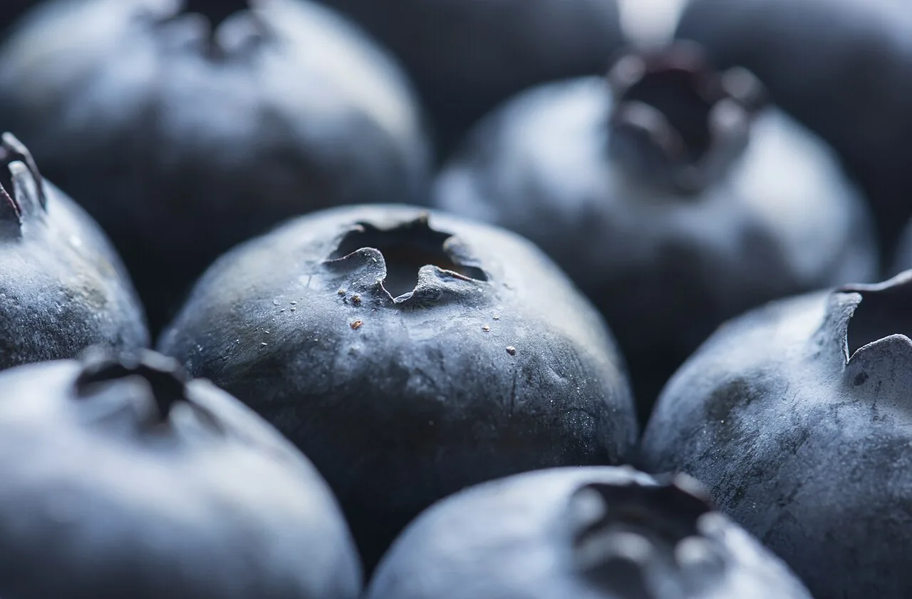 Antioxidant-berries-bilberry-988870