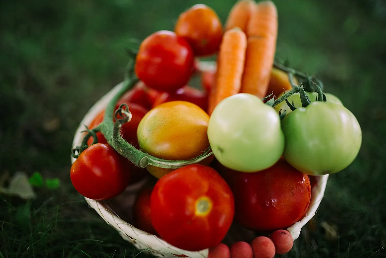 Colorful vegetables in nature closeup. Healthy concept