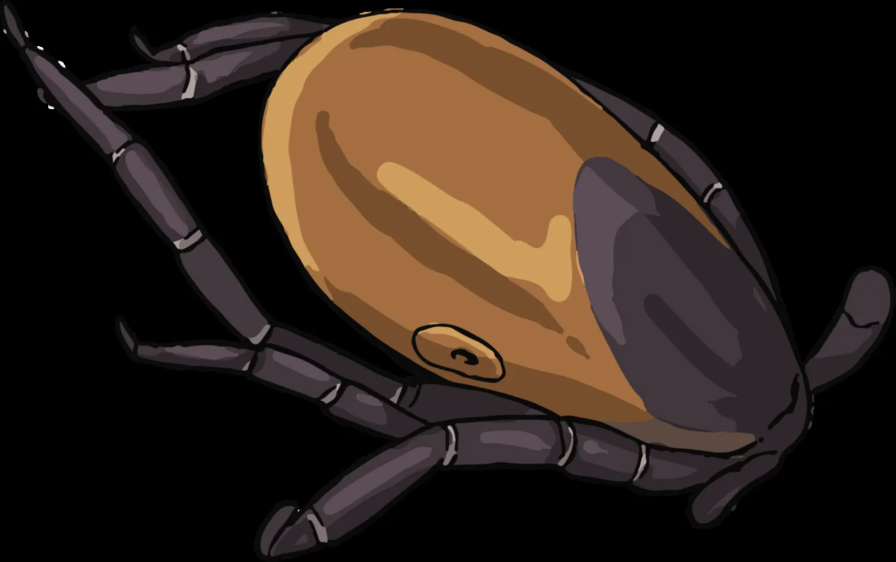 Female Tick Feeding (NIH BioArt 268)